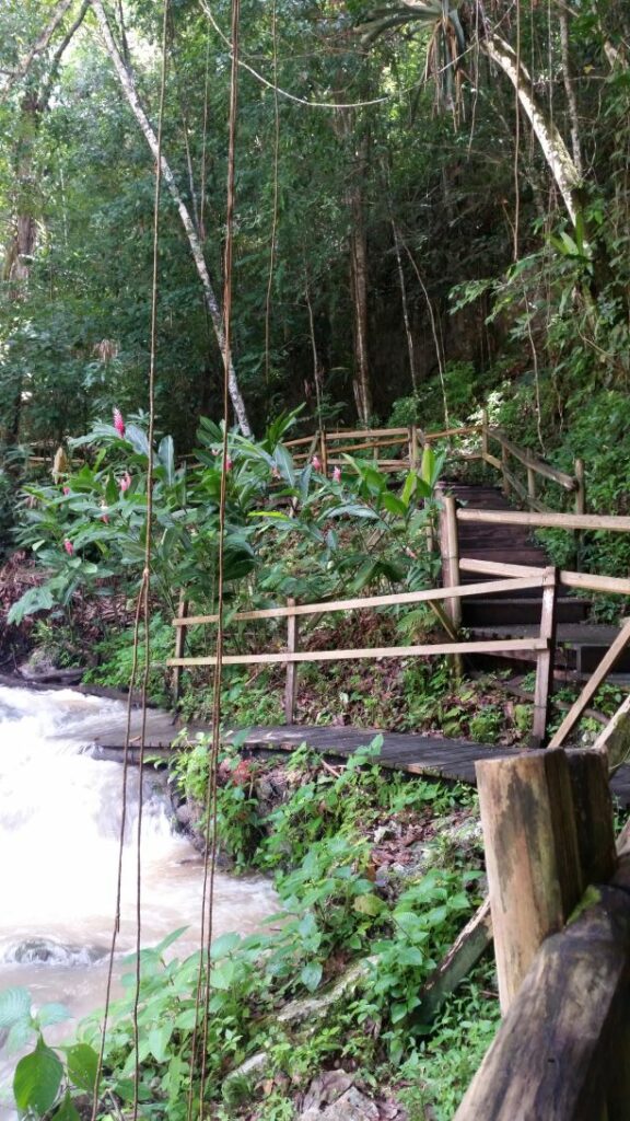 YS Falls Jamaika