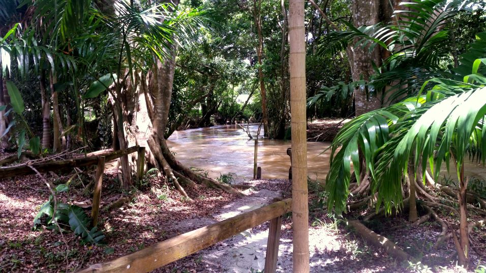 YS Falls Jamaika