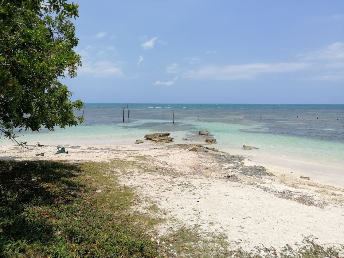 Crawford Beach