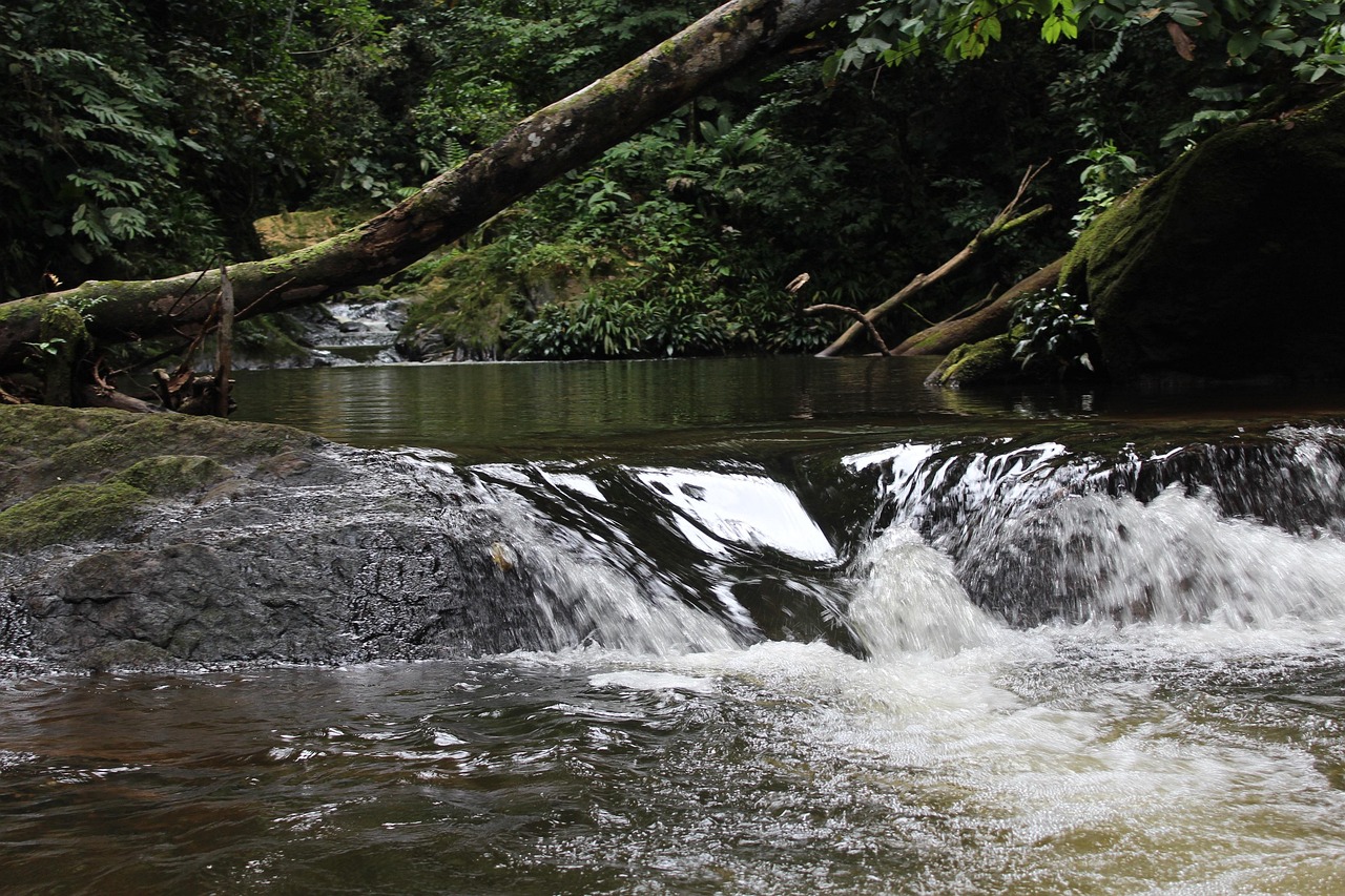 Dunn´s River Falls